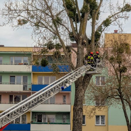 Akcja strażaków i miejskich służb w centrum miasta. Trzeba uważać! [WIDEO, ZDJĘCIA]