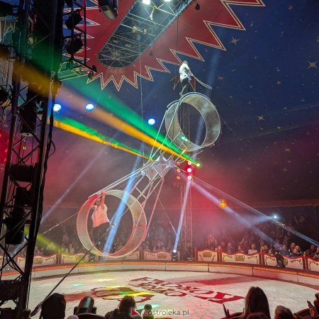 Cyrk Korona w Ostrołęce. Imponujące show [ZDJĘCIA]