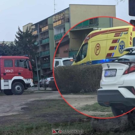 Policja, straż i karetka pod blokiem. Co działo się za zamkniętymi drzwiami seniorki? [ZDJĘCIA]