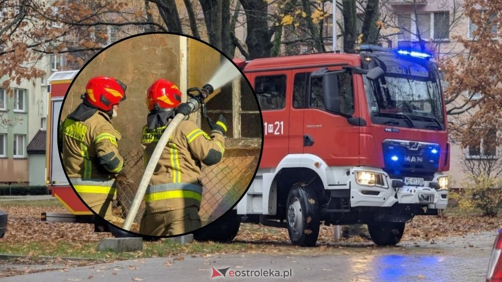 zdjęcie ilustracyjne, fot. eOstrołęka.pl