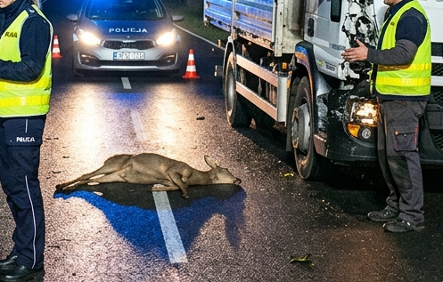 fot. zdjęcie ilustracyjne