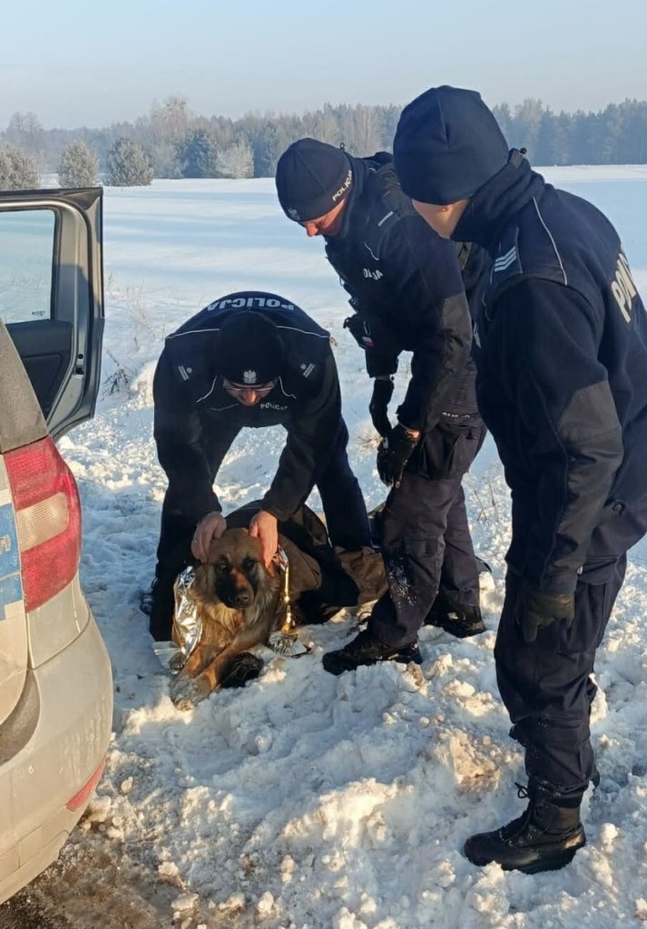 fot. KPP Przasnysz