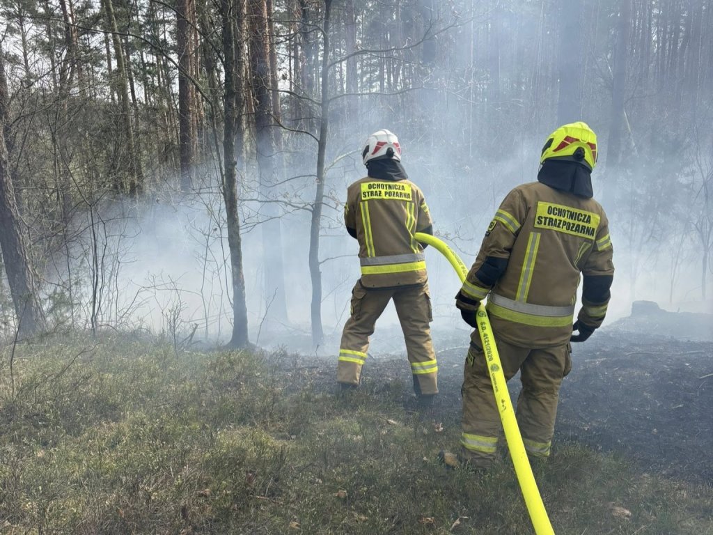 zdjęcie ilustracyjne
