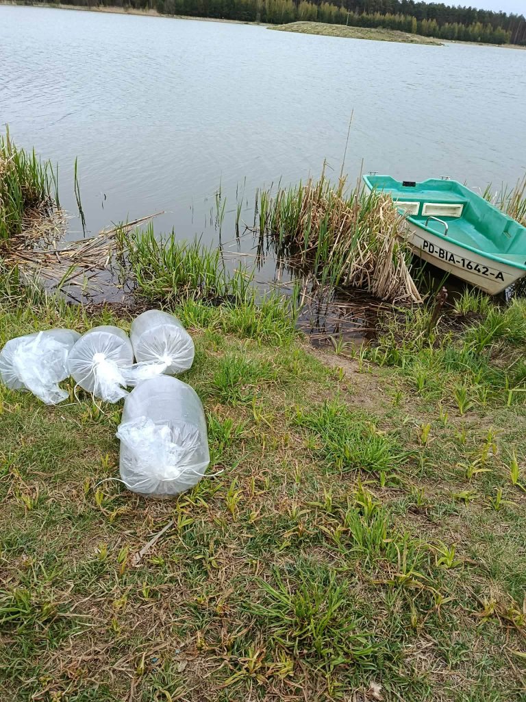 fot. Koło PZW nr 38 Narew Ostrołęka