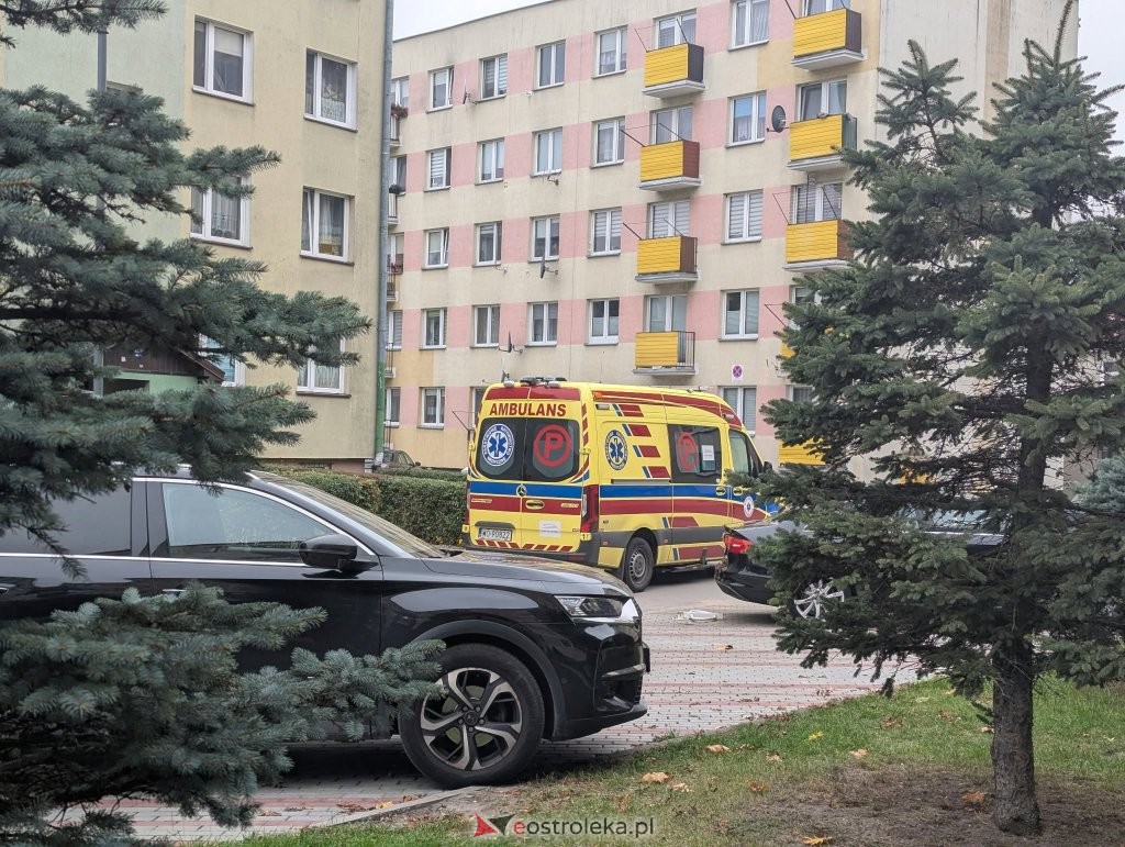 fot. eostroleka.life