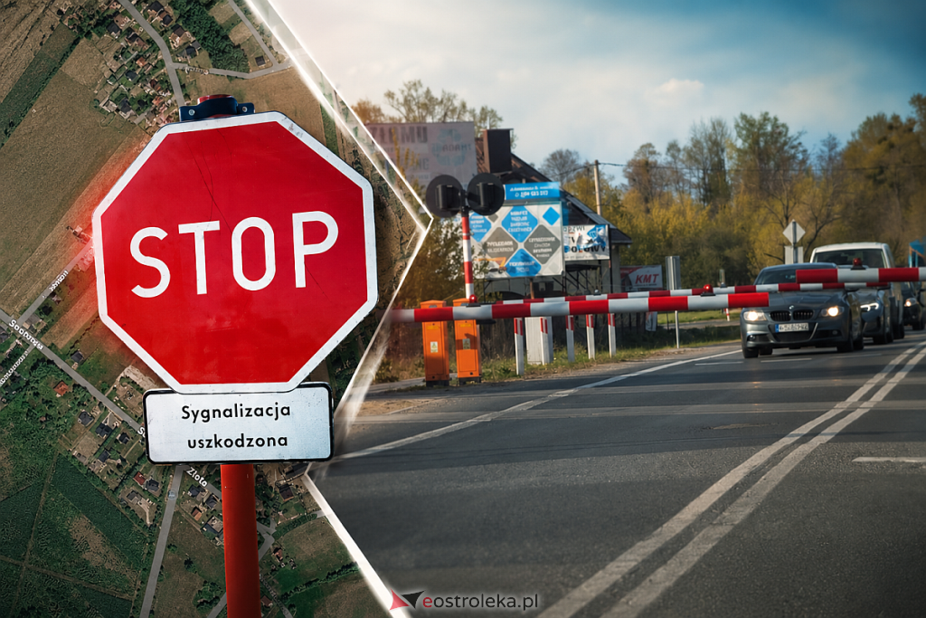 zdjęcie ilustracyjne