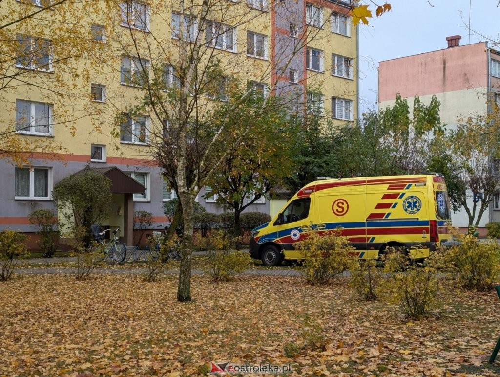 fot. eostroleka.life