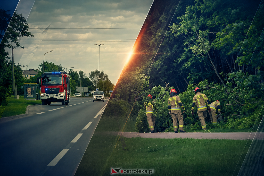 fot. eostroleka.life