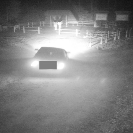 Zniszczyli nowy parking leśny zaledwie 3 dni po otwarciu [ZDJĘCIA]