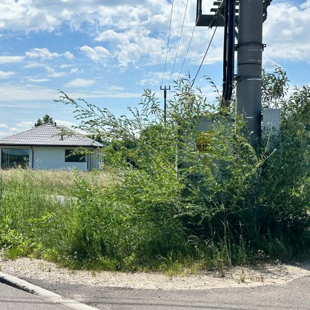 Nowa droga, a pobocza zarośnięte? "To nie tylko problem estetyczny" [ZDJĘCIA]