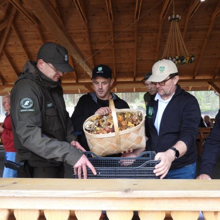 Ale zbiory! Ponad 36 kg grzybów dla najlepszej drużyny. Kurpiowskie Grzybobranie za nami [ZDJĘCIA]