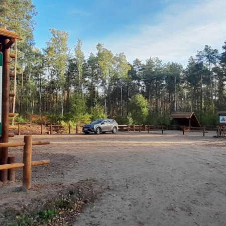 Nowy parking leśny w Łodziskach gotowy. Leśnicy apelują: celujmy do kosza