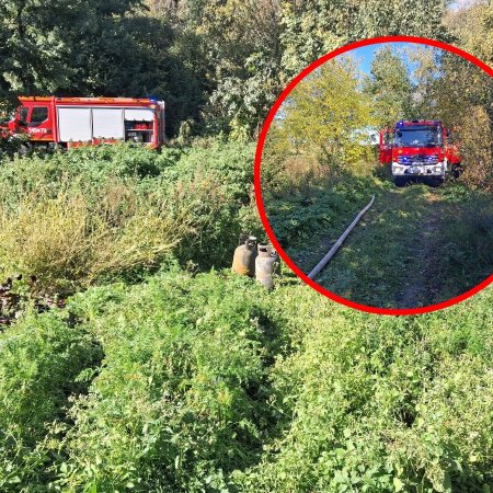 Sąsiad widział ją rano. Kilka godzin później jej dom stał w ogniu