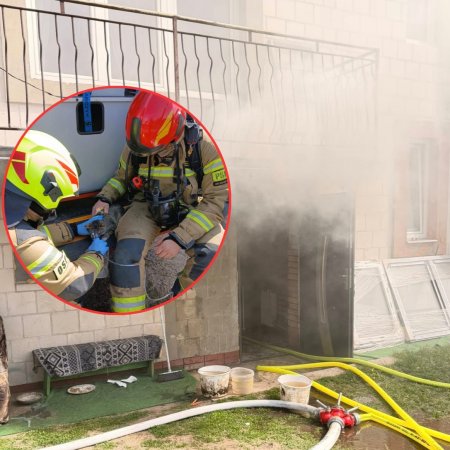 Dramat w piwnicy. 25 strażaków w akcji, są ranni, ucierpiał też kot! [ZDJĘCIA]