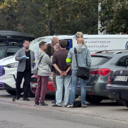 Przeszukanie auta i zatrzymanie przy Parkowej. Wiemy, o co chodziło [WIDEO, ZDJĘCIA]