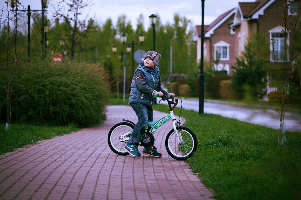 fot. pexels