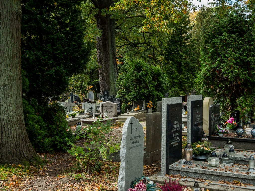 fot. pexels