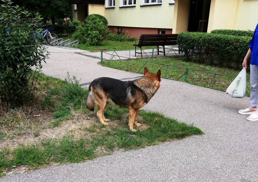 fot. z grupy eostroleka.life