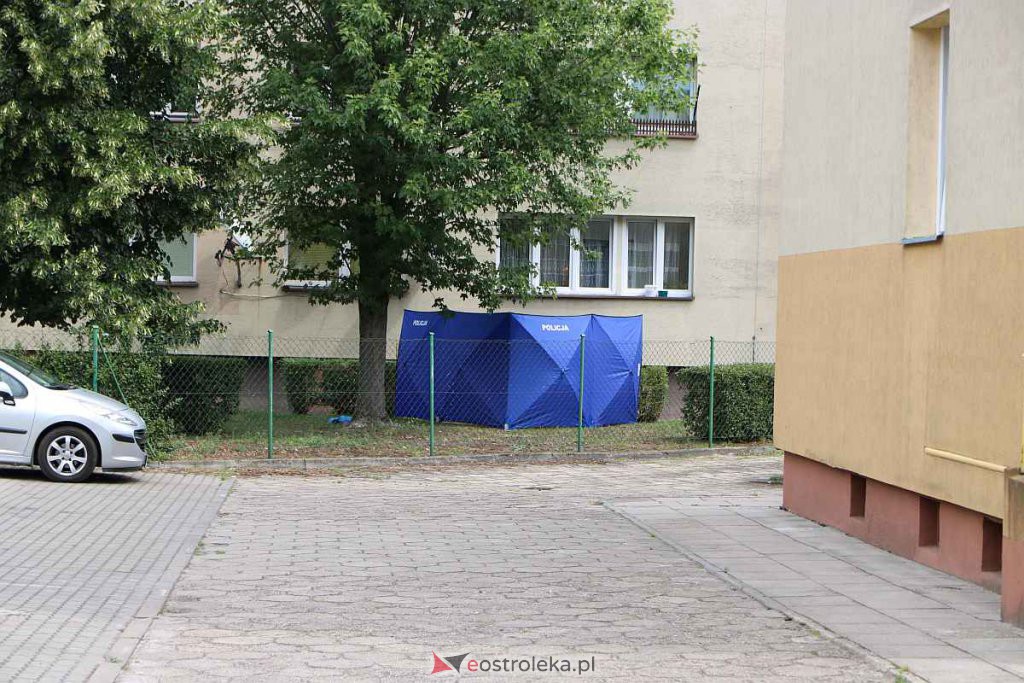 fot. eostroleka.life
