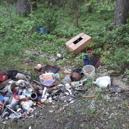 Interwencja Czytelnika: Porządki w garażu, a śmieci do… lasu! [ZDJĘCIA]