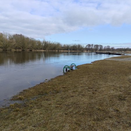 Sytuacja hydrologiczna w Ostrołęce. Jaki jest dziś poziom rzeki Narew [ZDJĘCIA]
