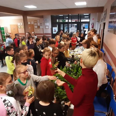 Zostań rycerzem, pokonaj smoka!” – kiermasz roślin doniczkowych w SP 1 [ZDJĘCIA]