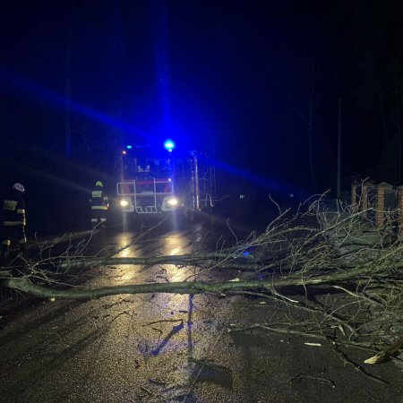 Wichura w regionie. Nie obyło się bez strat [ZDJĘCIA]