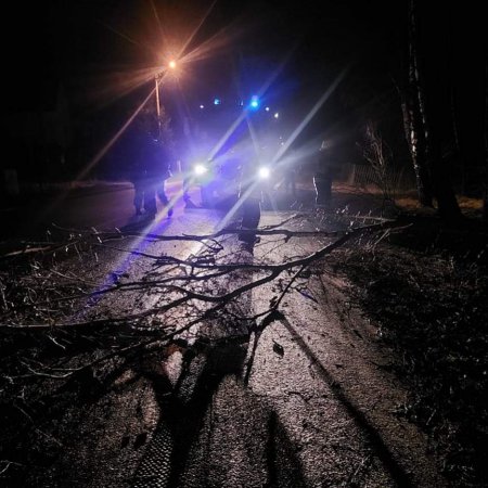 Strażackie podsumowanie doby. Pożar w lesie, powalone drzewa, kolizja osobówki z latarnią