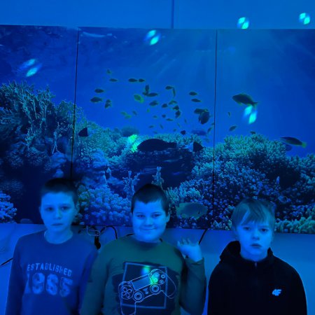 Sala Doświadczania Świata w SP 4 [ZDJĘCIA]