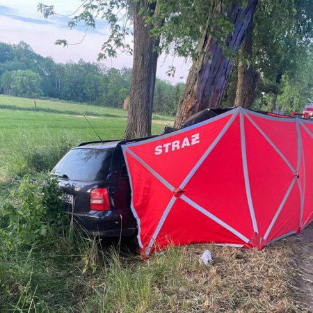 Tragiczny wypadek w Gucinie: Policja poszukuje świadków. Co z kierowcą?