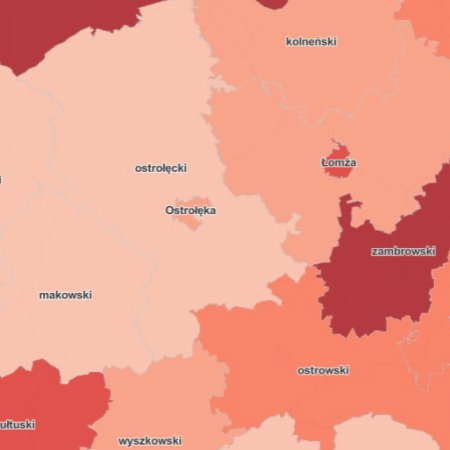 Koronawirus. 58 nowych i 9 ponownych zakażeń w Ostrołęce i powiecie ostrołęckim
