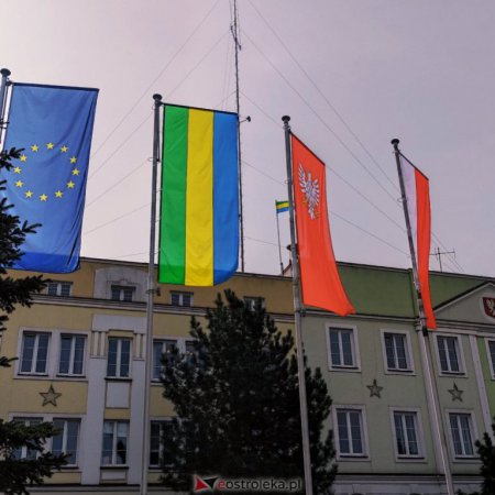 Ostrołęcki ratusz poszukuje specjalisty! Czy spełniasz kryteria?