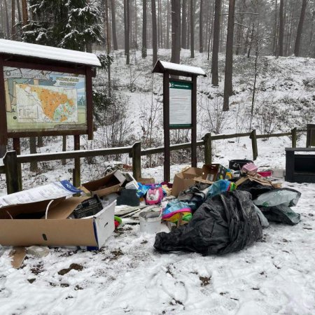 "Kwiatki" w naszych lasach