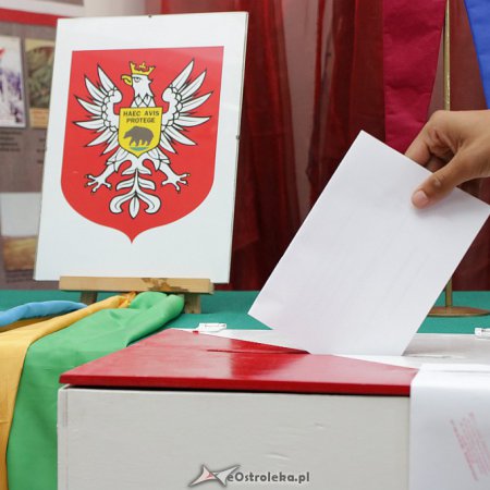 Wybory prezydenckie 2020: Procedury trwają. Wkrótce poznamy składy komisji wyborczych