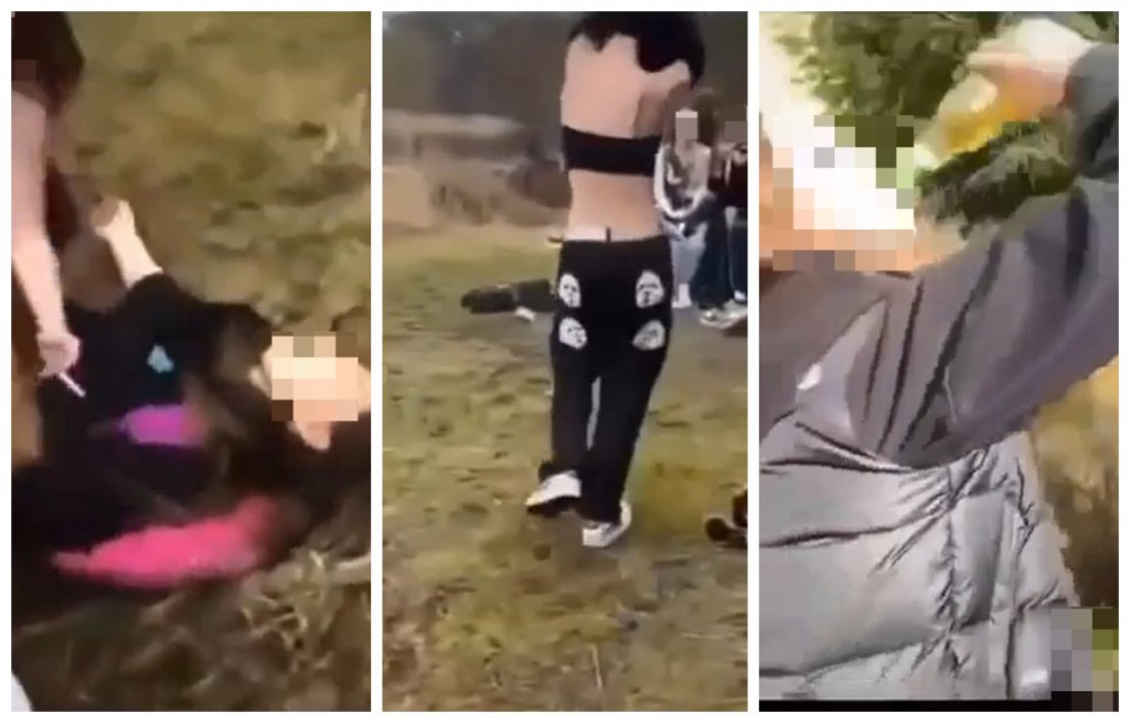 fot. screeny z mat. wideo / TikTok