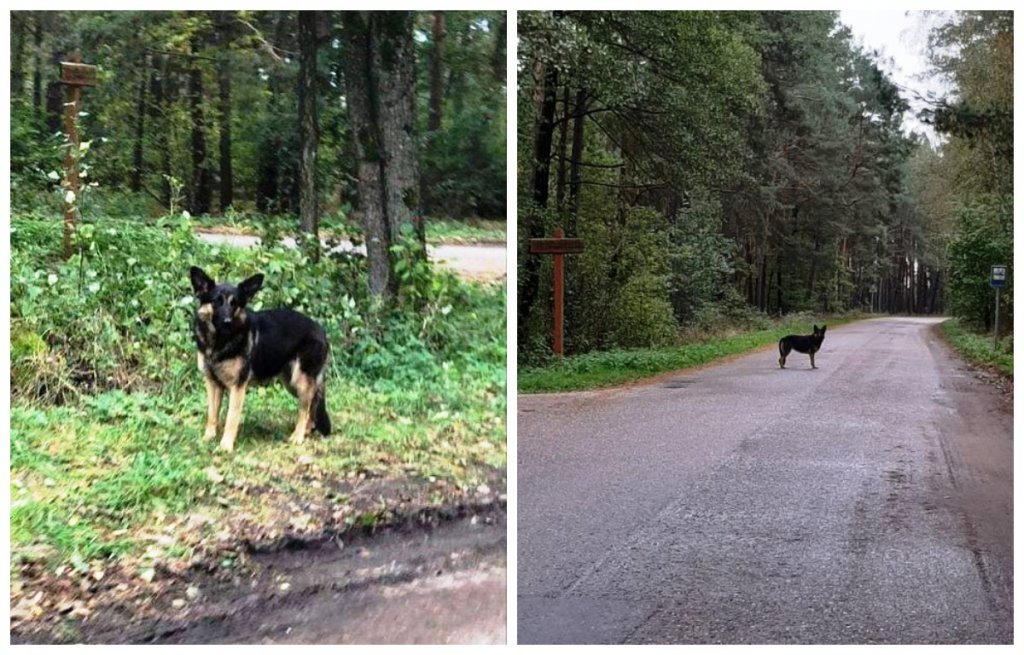 fot. Spotted Ostrołęka