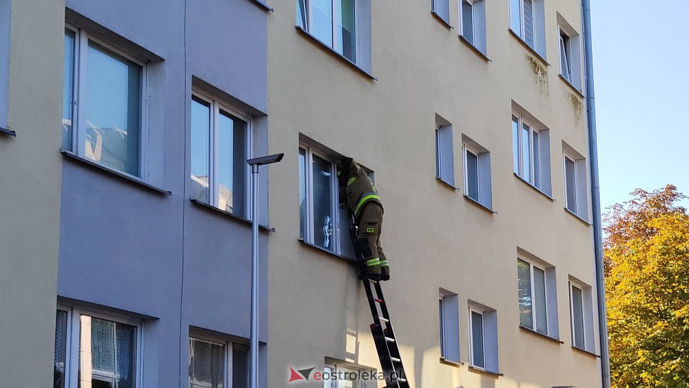 zdjęcie ilustracyjne, fot. eostroleka.life