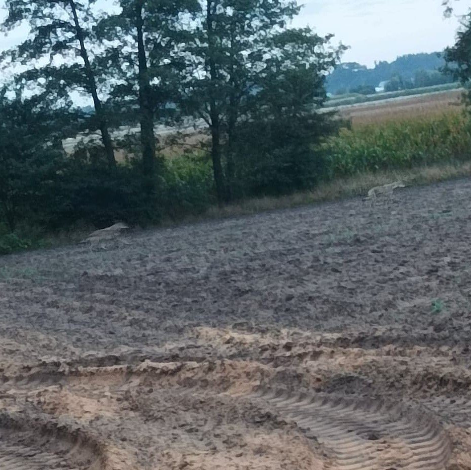 fot. Urząd Gminy w Goworowie